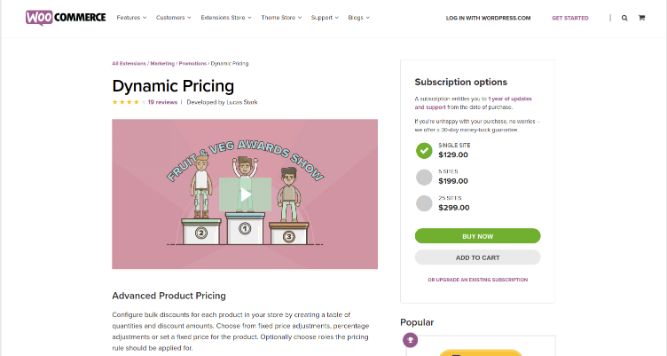 WooCommerce dynamic pricing plugin