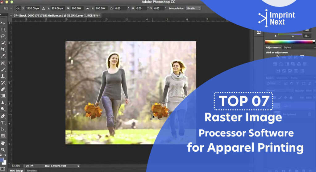 raster image processor software
