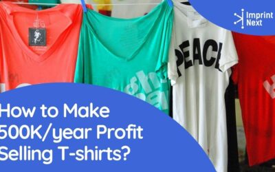 How to Make 500K/year Profit Selling T-shirts?